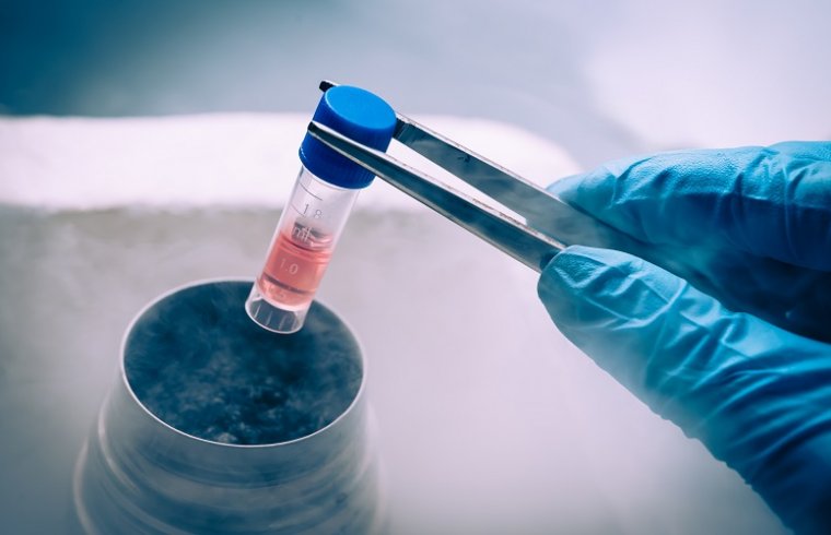 4 reagentes de uso em laboratórios de culturas celulares
