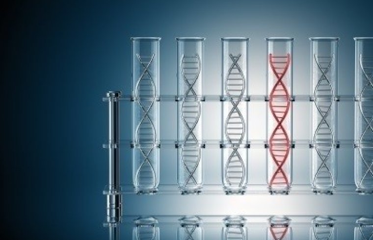 6 kit de extração de DNA e suas funções