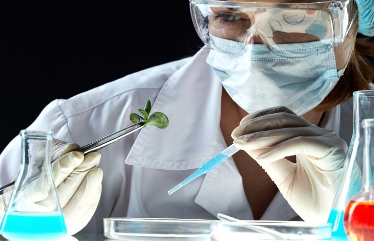 Produtos vegetais em investigações biomédicas: as quinonas