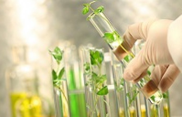 5 reagentes para laboratório extraídos de plantas