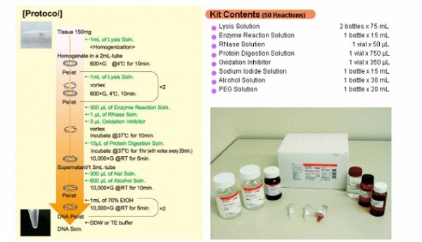 O kit DNA extractor® TIS