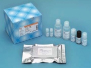 Kits para teste ELISA para amiloide β