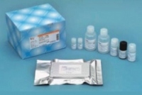 Kits para teste ELISA para amiloide β 