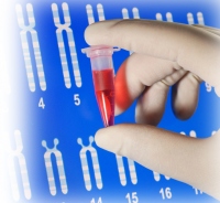 Purificação e Análise de DNA