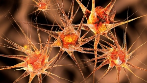 A importância da neurobioquímica no tratamento de doenças neurológicas