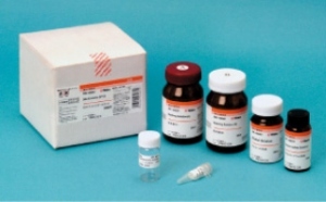 Kit de extração de DNA SP (DNA Extractor® SP Kit)