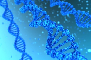 extração de DNA genómico 