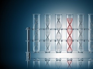 6 kit de extração de DNA e suas funções