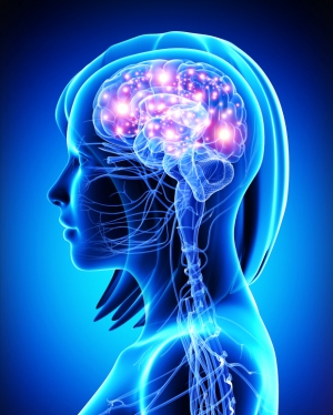 reagentes úteis para as investigações em neurociências