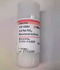 Anticorpo monoclonal anti P2X4