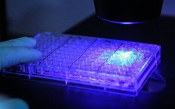 Proteínas fluorescentes