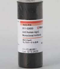 Anticorpo monoclonal anti-AGO2 humana